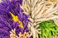 Decoration of dried flowers Royalty Free Stock Photo