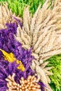 Decoration of dried flowers Royalty Free Stock Photo