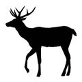 Decoration, elegance, horned, object, shadow, buck, doe, big, vintage, cervus, cute, dappled, engraving, graceful