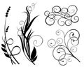 Decoration element vector Royalty Free Stock Photo