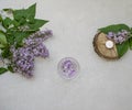 Decoration flat lay with a bouquet flowers lilac. Spa tea white candle and hydrogel balls on wooden slice on grey background Royalty Free Stock Photo
