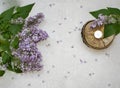 Decoration flat lay with a bouquet flowers lilac.Spa tea white candle on wooden slice on grey concrete background Royalty Free Stock Photo