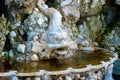 Decoration fountain with stone fish in Sintra park Royalty Free Stock Photo