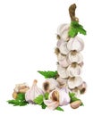 Decoration of garlic