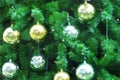 Decoration hanging on Christmas tree branches by silver and golden bauble ball, blur style Royalty Free Stock Photo