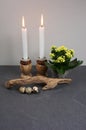 Decoration for home ambiance with candle kalanchoe blossfeldiana and driftwood at gray wooden background