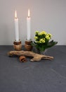 Decoration for home ambiance with candle kalanchoe blossfeldiana and driftwood at gray wooden background