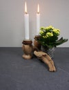 Decoration for home ambiance with candle kalanchoe blossfeldiana and driftwood at gray wooden background