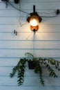 The decoration beside the house pillars with indoor plants and wall lamps