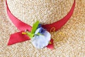 Decoration of ladies` straw hat close up Royalty Free Stock Photo