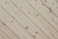 Decoration light brown pine wood plank wall texture oblique natural patterns abstract for background