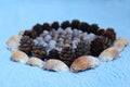 Decoration made of natural material: shells of snails found in t