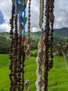 decoration made of shells connected by thread