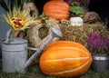 Decoration made of a vintage watering can, big pimpkins, heather flowers and a dried hay.