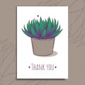 Decoration plant succulent astroloba tenax. Greeting post card thank you text. Vector illustration.