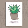 Decoration plant succulent. Greeting post card thank you text. Vector illustration.