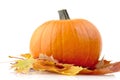 Decoration of pumpkin with autumn leaves for thanksgiving day on white