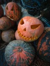 Decoration pumpkin of Halloween at the village Royalty Free Stock Photo