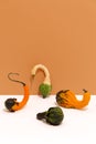 Decoration Pumpkins. Fall autumn minimal concept. Still life fashion