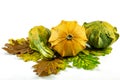 Decoration pumpkins in a row with autumn leaves on white isolated background