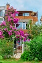 Decoration of a residential building with bright purple flowers