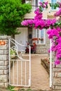 Decoration of a residential building with bright purple flowers