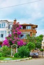 Decoration of a residential building with bright purple flowers Royalty Free Stock Photo