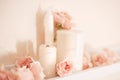 Decoration of room for birthday celebration. Macro closeup of soft tender light pink roses and white candles