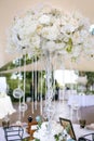 Decoration of white flowers over tables for guests in a restaurant Royalty Free Stock Photo