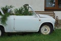 The decoration of the white old car overgrown with green vegetation stands on the grass against the wall Royalty Free Stock Photo