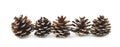 Decorational pine cones