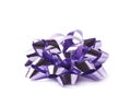 Decorational ribbon gift bow isolated Royalty Free Stock Photo