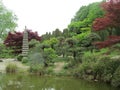 Rheinaue Park. Japanese Garden pond 6125