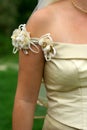 Decorations, laces, flowers, arabesques and pearls for the most