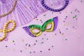 Decorations for the Mardi festival, carnival mask, beads, confetti on a lilac background