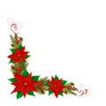 Decorations with Poinsettia and Christmas Fir Tree Branches