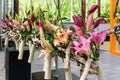 Decorations in the sales area of the Spring Flower Show in Keukenhof, Holland