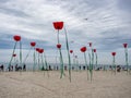 Decorations in the shape of giant poppies on the seashore at the