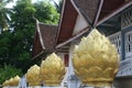 Lotus flowers, Unesco temple Wat Xieng Thong, Luang Prabang, Laos Royalty Free Stock Photo