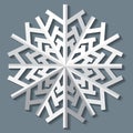 Decorative abstract snowflake. Royalty Free Stock Photo