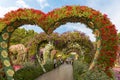 Decorative alley made of flower hearts on the territory of the botanical Dubai Miracle Garden in Dubai city, United Arab Emirates