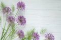 Decorative Allium onion purple flowers on stem and white wooden rustic table background. Beautiful spring background