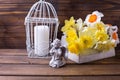 Decorative angel, spring white and yellow daffodils flowers a Royalty Free Stock Photo