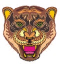 Angry puma. Animal face. Vector illustration of angry tiger