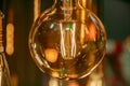 Decorative antique edison style filament light bulb