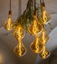 Decorative antique edison style filament light bulbs hanging from the ceiling Royalty Free Stock Photo