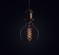 Decorative antique edison style light bulb Royalty Free Stock Photo