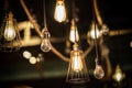 Decorative antique edison style light bulbs