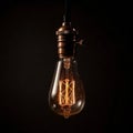 Decorative Antique Retro Edison Light Bulb on Dark Background. Generative ai