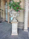 Decorative antique stone vase with flowers in the form of a head near the wall Royalty Free Stock Photo